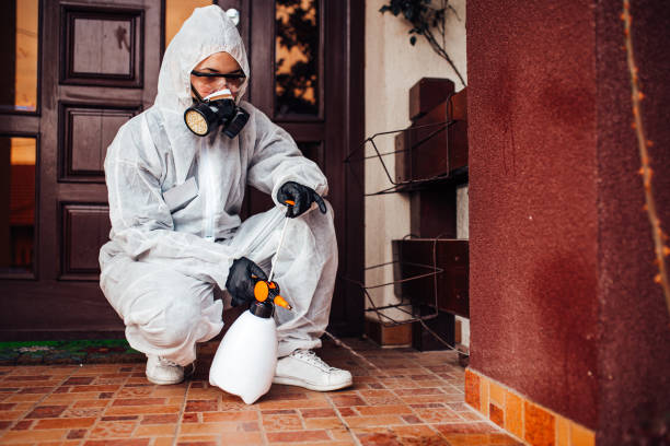 Attic and Crawl Space Rodent Treatment in McDonald